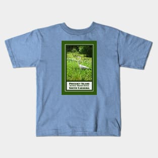 Vintage Travel Pinckney Island Kids T-Shirt